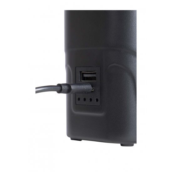 Bo-Camp Elektrische pomp Oplaadbaar USB 250 ltr min