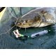 MadCat Adjusta Profi River Rig - Worm & Squid 20G