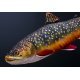 Gaby The Mini Brook Trout Pillow 35cm