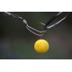 Korda Kickers D Rig Brown Small