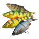 Savage Gear 4D Line Thru Roach 18cm 80g Slow Sink Perch