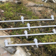 Solar P1 3-rod Fixed Buzzer Bars 12-inch
