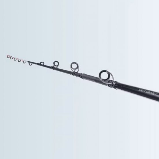 Shimano Salty Advance Spinning 2.90m 60g 2pc